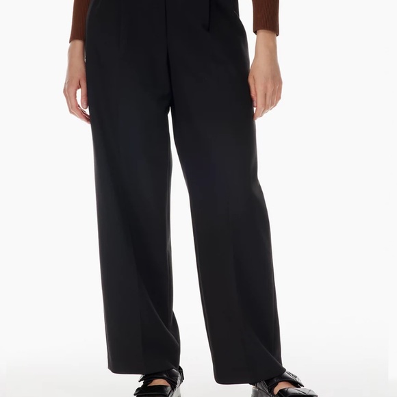 Babaton Pleated Pant - Picture 3 of 6